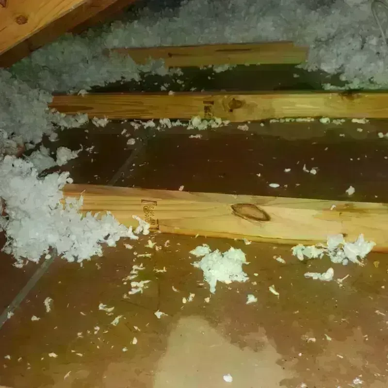 Attic Water Damage in Rockingham County, NC